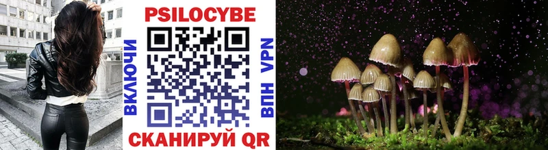 ОМГ ОМГ   Краснотурьинск  Галлюциногенные грибы Psilocybe 